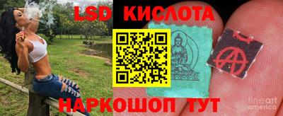 индика Дубна