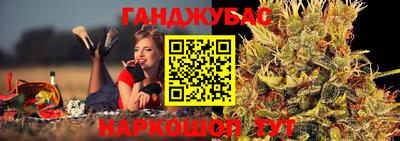 индика Дубна