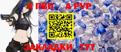 индика Дубна