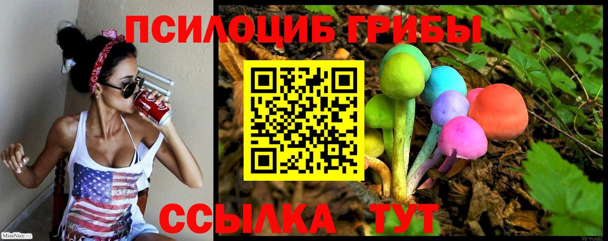 Арзамас  Псилоцибиновые грибы ЛСД  Вход с VPN  цены наркотик  Псилоцибиновые грибы Cubensis 